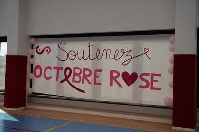 Octobre Rose – photo 192