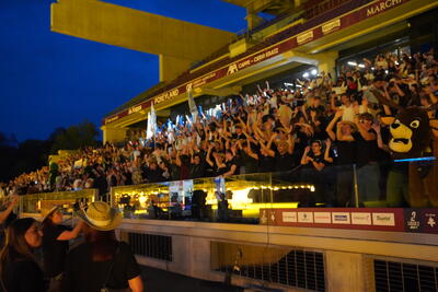 Stade Saint-Symphorien – photo 85